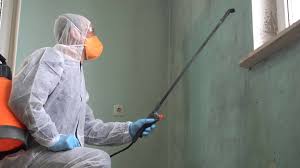 Why You Should Choose Our Mold Remediation Services in West University Place, TX